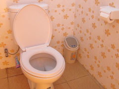 Siram toilet