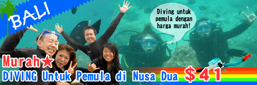 Diving untuk pemula di Nusa Dua★Murah