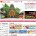 クイーンオブバリの観光 地図がリニューアルしました！ こちらはクイーン オブ バリの観光地図サイトです。バリ島を周って様々なバリ島の文化や人々に触れてみませんか？そんな時にとても便利な観光地図となっています。寺院や博物館...