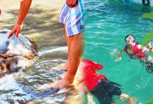 バリ島 観光Free for Kids! Outdoor education turtle island and snorkel BASUKA