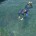 2014年10月2日、バリ島のサヌール近くにあるスランガンサーフィン社のポントゥーンでサメとスティングレイと泳げる、Ocean Park Eco TourへマルッチとDiving撮影兼・Wedding専属カメラマンのクマ...