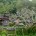 2012年4月4日、トルニャン村ツアーの取材に行ってきました。この村はバリ島中部の避暑地、キンタマーニ高原のバトゥール山の麓にあります。人口約600人の閉鎖的な村なので、メジャーな観光スポットとしてはあまり紹介されません...