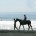 2009年3月某日。サヌールの北、サバ・ビーチで行われているホースライディングに行ってきました！ この日は午前中にホースライディング、午後はキャメルサファリという取材２本立て。乗馬は地元・長野県の高原で乗ったことがあるよ...