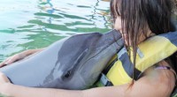 2009年10月20日、スランガン島にある人気のドルフィンロッジに行ってきました！ドルフィンロッジは８ 頭のイルカたちが暮らす海上のポントゥーン。イルカと海に入り、40分一緒に過ごすことができるというアジアで唯一のアクテ...