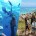 2015年9月11日。レンボンガン島で海底散歩のマリンウォークを催行しているマリンウォーク社の取材へと行って来ました！ 私事ですが、ちょうど両親と弟がバリ島へ旅行に来ていたので、取材に同行してもらうという前代未聞の嬉しい...
